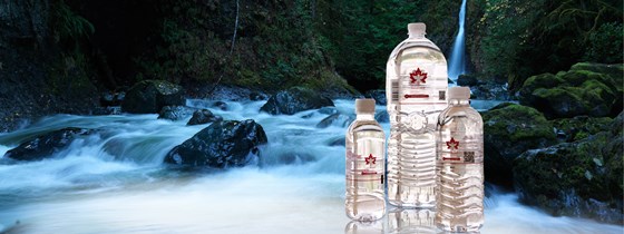 sachielconnect: Buy Food Products Canada