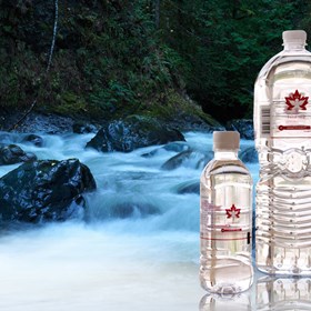 sachielconnect: Buy Food Products Canada